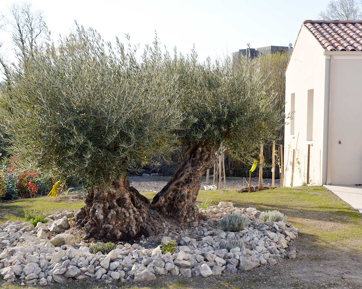 Agir Bâtiment aménagements extérieurs de maisons individuelles La Palmyre Les Mathes Royan Presqu'île d'Arvert Charente maritime